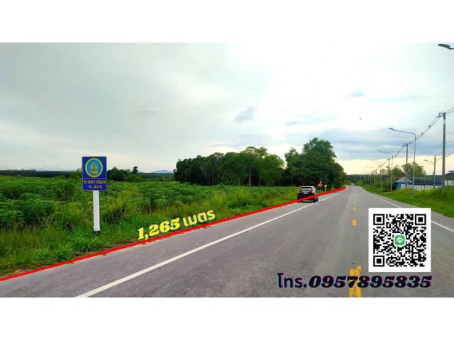 ขายที่ดินระยอง 751ไร่ ใกล้โรงเรียนมารีวิทย์ระยอง (ที่ดินทำเลดี ที่เนินสวย น้ำไม่ท่วม) ต.หนองละลอก อ.บ้านค่าย
