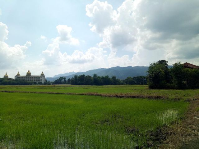 ขายที่โฉนดครุฑแดง4ไร่กว่าตำบลบ้านโตก