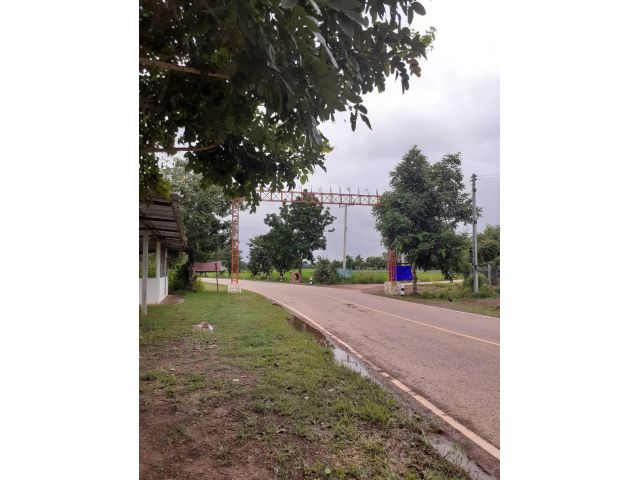 ขายที่ดิน 9-3-02 THB1,463,250 นาม่วง ประจักษ์ศิลปาคม อุดรธานี