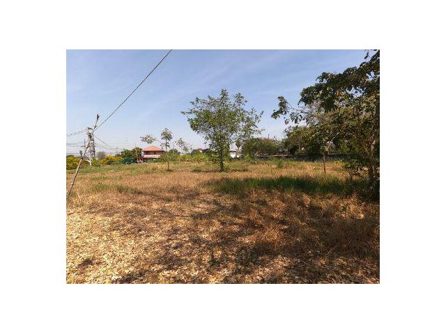 PK404ขาย ที่ดิน ที่ดินสีม่วงถมแล้ว ที่ดินลำลูกกา คลอง 9 8ไร่ 1งาน 39ตรว เป็นที่ที่สามารถทำธุระกิจได้ ไฟฟ้า3เฟส พร้อม บรร