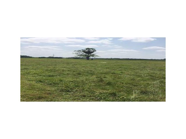 ขายที่ดิน 9 ไร่เศษ เหมาะกับคนรักสงบ เดินทางได้หลายเส้นทาง ใกล้ความเจริญ และตัวเมืองนครศรีธรรมราช - KK3238S