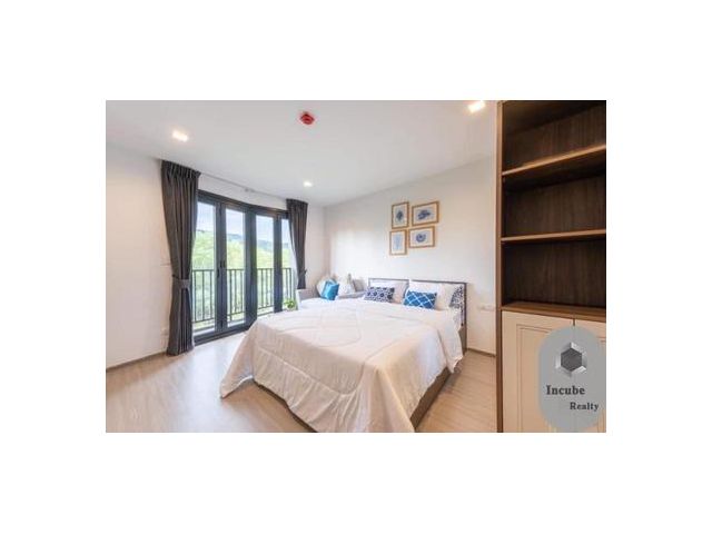 For Sale The Base Central - Phuket  1 Bed