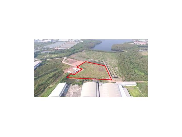 ขายที่ พร้อมใบ รง.4 โรงงานพลาสติก เนื้อที่ 6 ไร่เศษ ใกล้เอกชัย ถมพร้อมใช้ ขายไม่แพง ถนนดี และเป็นส่วนตัว