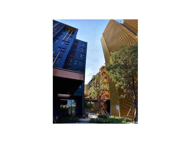 For Sale THE BASE Sukhumvit 50 1 Bed