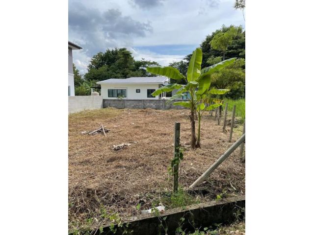 L-43-JP ขายที่ดินเปล่า เขตเทศบาลน้ำแพร่ ต.หางดง