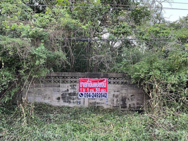 ขายที่ดิน 1-1-50 ไร่ ในเมืองโคราช ติดถนนซอย ซอยสืบศิริ 36 เข้าซอยจากถนนสืบศิริประมาณ 63 เมตร หน้ากว้างประมาณ 35 เมตร