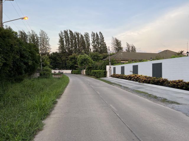 ขายที่ดิน 1-1-50 ไร่ ในเมืองโคราช ติดถนนซอย ซอยสืบศิริ 36 เข้าซอยจากถนนสืบศิริประมาณ 63 เมตร หน้ากว้างประมาณ 35 เมตร