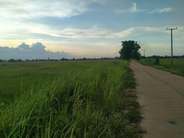 ขายที่ดิน 19 ไร่  35 ตรว. ติดถนน  อยูใกล้ชุมชน