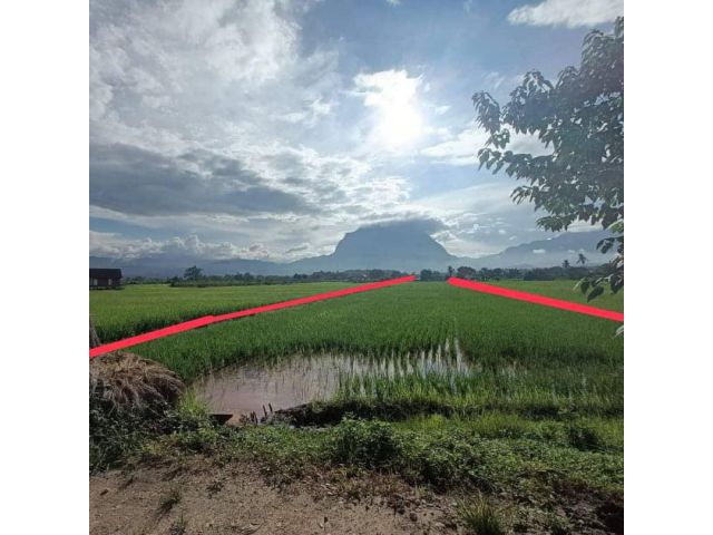 ขายที่นา เนื้อที่ 6 ไร่ แปลงยาว รูปทรงตัว L ทำเลดี วิวดอยหลวง ใกล์ลำเหมืองใหญ่ อ.เชียงดาว จ.เชียงใหม่
