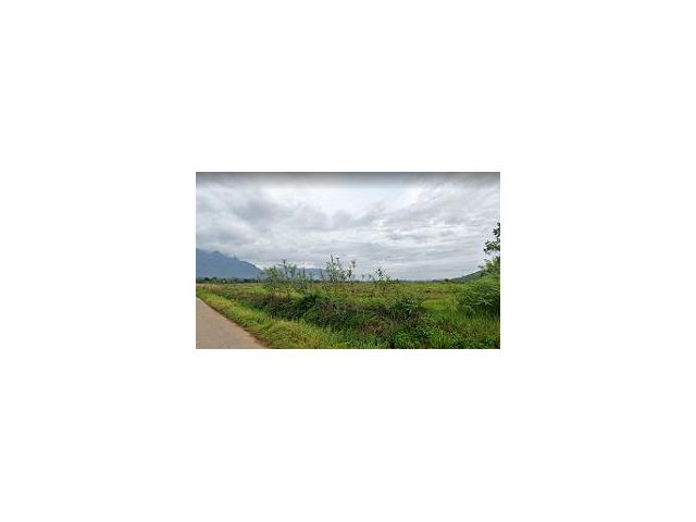 ขายที่ดิน/ที่นา เนื้อที่ 8 ไร่ 54 ตร.ว ที่ดินแปลงสี่เหลี่ยมกว้างสวย สงบ ใกล้ชิดธรรมชาติ ต.เชียงดาว อ.เชียงดาว จ.เชียงใหม