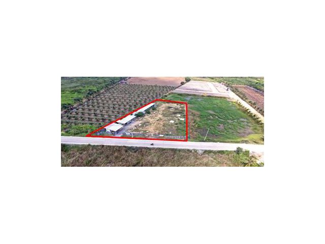 สร้าง โรงงาน/คลังสินค้า ได้หลายประเภท วางแปลนง่ายที่ดิน 1 ไร่ 363.5 วา ขับรถ 5 นาที จาก ถ.เพชรเกษม