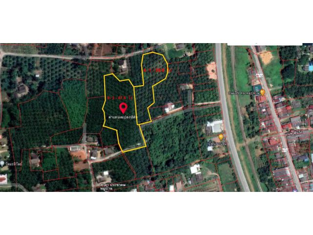 ขายที่ดินสวนปาล์มเนื้อที่ 11 – 0 – 86.4 ไร่ ขายไร่ละ 550,000 บาท ตั้งอยู่ ต. มะลวน อ.พุนพิน ใกล้สนามบิน กองบิน 7