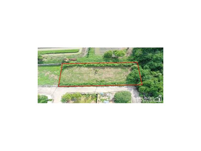 ขาย ที่ปลูกบ้าน 242 ตร.ว. ใกล้ ถ. บรม เพียง 188 ม. หน้ากว้างสวย 47 เมตร ติด ตะวันออก สะดวกสบายด้วย Design Village / Star