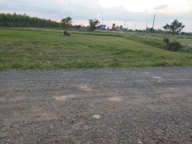 L86 ขายที่ดิน 6 ไร่ อ.เมือง บุรีรัมย์ ผังชมพู ไฟฟ้าเข้าถึง ติดถนน 2 ด้าน ราคาถูกมาก