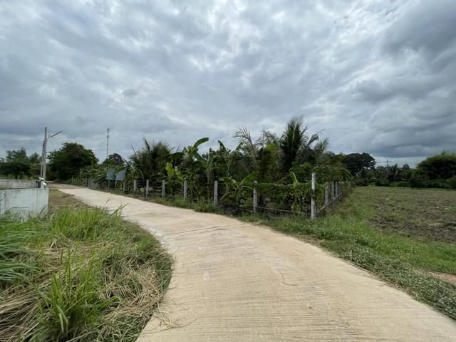 ขายที่ดินหนองยาว 2 ไร่ ติดถนนซอย 10 ต้นนาซอย 3 ใกล้ถนนเส้น 3002 - 250 เมตร อ.พนมสารคาม จ.ฉะเชิงเทรา