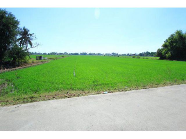 ขายด่วนที่ดิน 295 ไร่ ใน ต.บ่อเงิน อ.ลาดหลุมแก้ว จ.ปทุมธานี