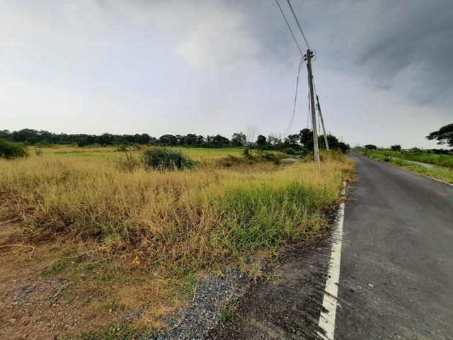 ที่ดินคลอง 5 ขวา ใกล้ทางมอเตอร์เวย์บางปะอิน-โคราช