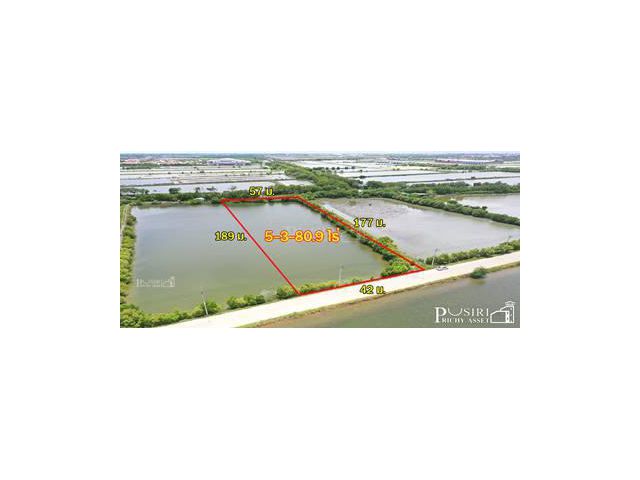 ขาย ที่สวย ไร่ละ 2.6 ล้าน สร้างโรงงานได้ ใกล้ กรุงเทพ เกือบ 6 ไร่ ขอใบ รง.4 ได้ ใช้เทรลเลอร์เข้า-ออกสะดวก