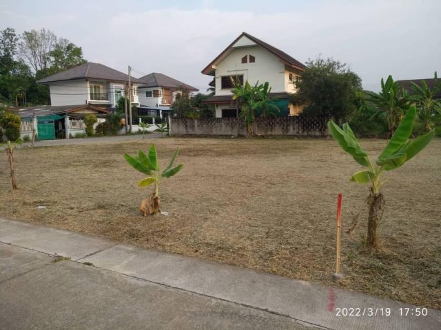 #ที่เปล่าแปลงมุมสันทรายติดถนนสองด้าน ทำเลดี