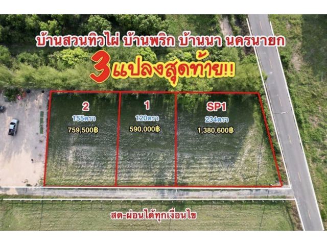 ขายที่ดิน โครงการ บ้านสวนทิวไผ่ บ้านสวนสวยๆ