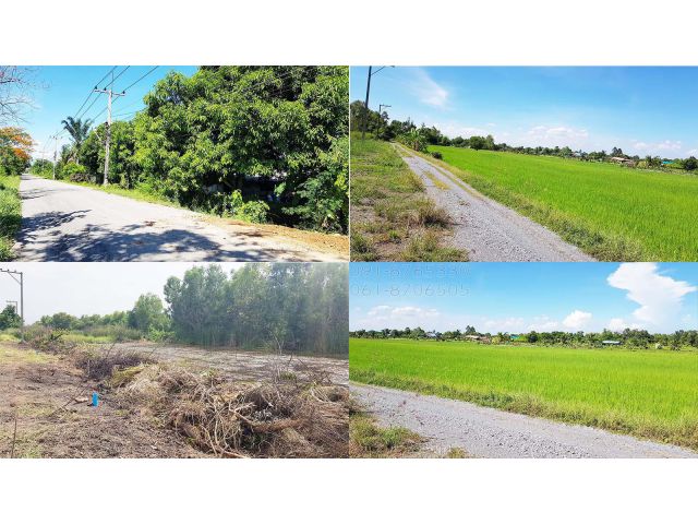 ขายที่ดิน 100ตรว หนองหมู วิหารแดง สระบุรี รูปแปลงสวย ใกล้ตลาด เหมาะปลูกบ้าน บรรยากาศดี ขายราคาถูก