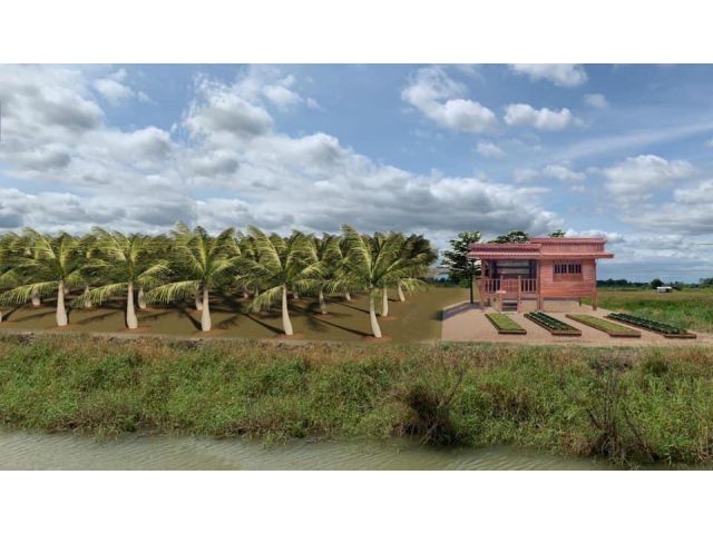 ขายด่วน!! ที่ดินทำเกษตร มีไฟฟ้า น้ำประปา ปลูกผลไม้ เลี้ยงปลา สร้างรายได้มหาศาล