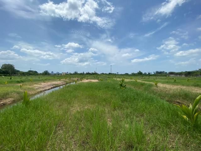 ขายที่ดินจังหวัดเพชรบุรี ต.ชะอำ อ.ชะอำ