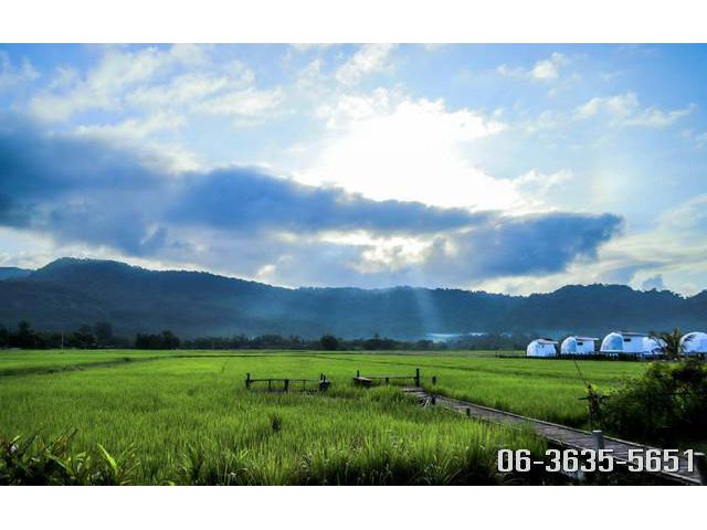 ขายที่วิวเขาสวย ต.เขาพระ อ.เมืองนครนายก