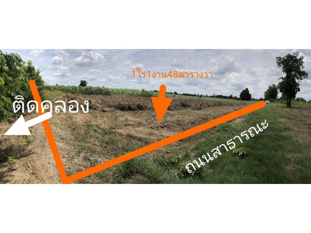 ขายที่ดิน 1-1-48 ไร่ ต.ห้วยหมอนทอง