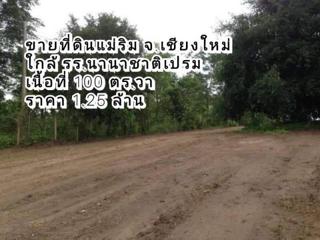 ขายที่ดินแม่ริม บ้านหนองปลามัน (ซอยไร่คุณดุ๊ก)ต.ห้วยทราย อ.แม่ริม จ.เชียงใหม่ เนื้อที่ 100 ตร.วา #ที่ถมแล้ว