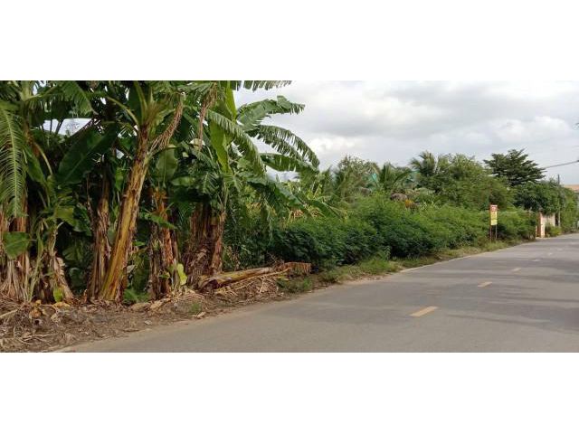 ขายที่ดินสวย ร่องสวน ทำเลดี  ต.คลองมะเดื่อ อ.กระทุ่มแบน จ.สมุทรสาคร