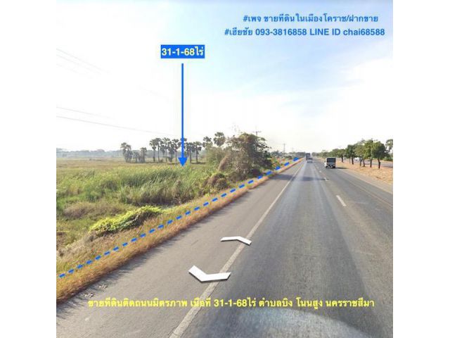 @@ขายที่ดินติดถนนมิตรภาพ เนื้อที่ 31.5ไร่ หน้ากว้าง 400เมตร ตำบลบิง อำเภอโนนสูง ##