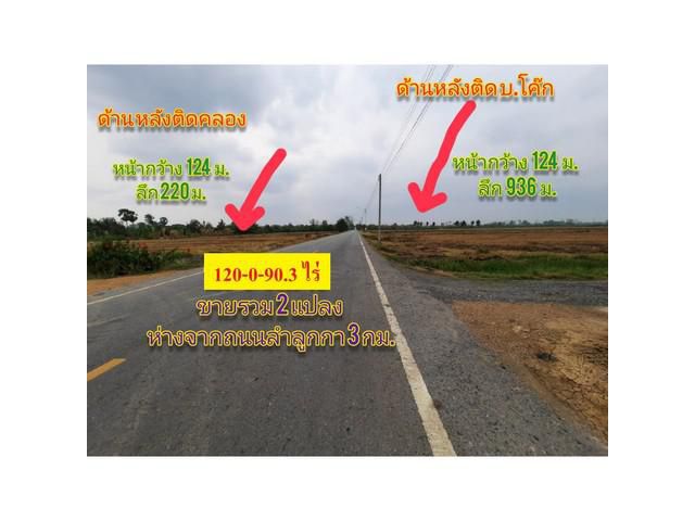 ขายที่ดินคลอง14 ลำลูกกา ด้านหลังติดบริษัทโค๊ก