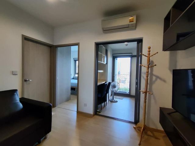 Whizdom Connect  Sukhumvit  101  for rent 1  bedroom 1 bathroom  29.5 sqm. rental  14,000  baaht/month