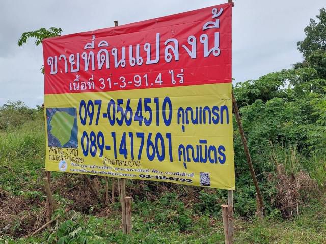 ขายที่ดินทำเลดี 31-3-91 ไร่ ซ.โป่งกลาง1 อ.บางละมุง ชลบุรี