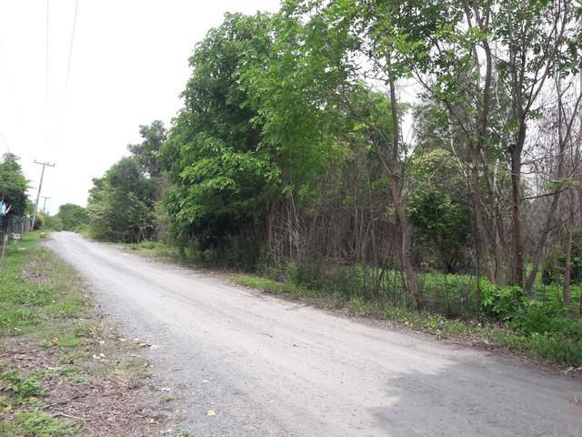 ที่ดินคอองสอง ซ.เอราวัณ 21 ใกล้ตลาดไท