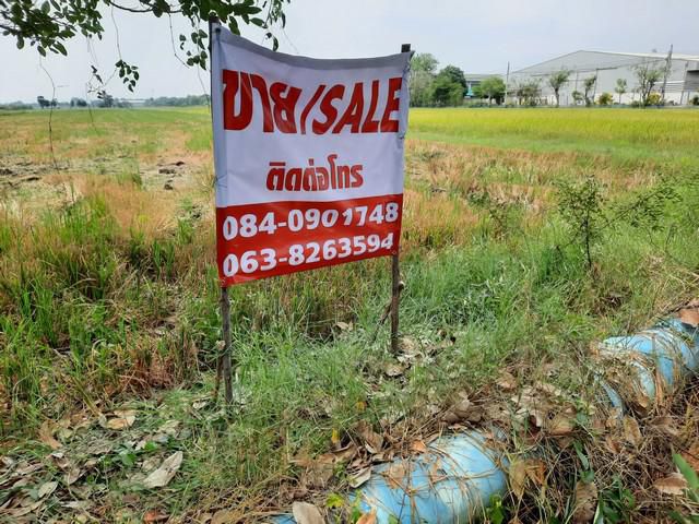 ขายที่ดินหนองจอก ถนนสังฆสันติสุข มี1 แปลง 2โฉนด