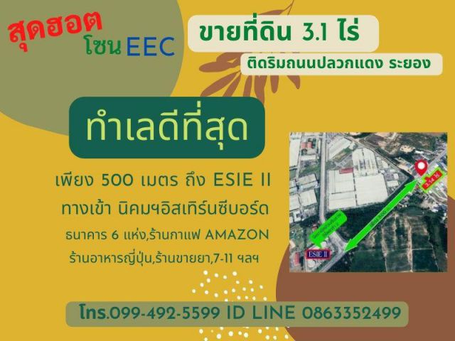 ขายที่ดิน 3.1 ไร่ สุดฮอตโซน EEC