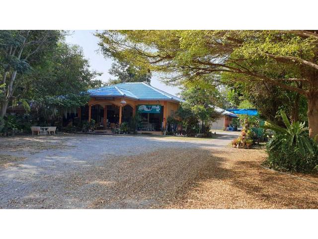 ขายที่ดินพร้อมบ้าน 3 หลัง ชัยนาท ต.โพนางดำออก