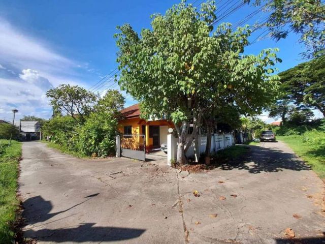 ขายบ้านแม่ริม จ.เชียงใหม่ ตรงข้ามศูนย์ราชการจังหวัด เนื้อที่ 34 ตร.ว แปลงหัวมุม