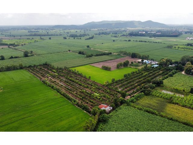 ขายที่สวนส้ม 18 ไร่ น้ำพร้อม ไฟพร้อม มีบ้าน2หลัง ติดถนนคอนกรีต อ.ขาณุ ต.ยางสูง