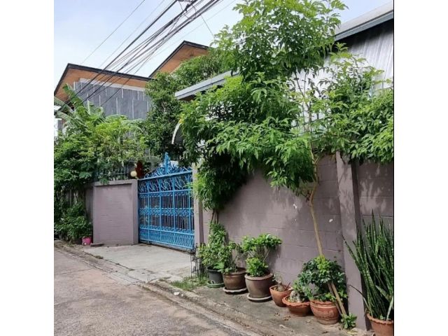 ขายบ้านเดี่ยวชั้นเดียว ซอยอ่อนนุช 54