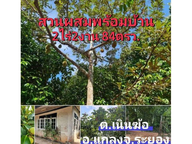 บ้านพร้อมสวนผสมน่าอยู่ราคาถูก