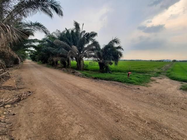 ขายที่ดินคลองเจ็ด ติดถนนถนนเลียบคลองแอนเจ็ด