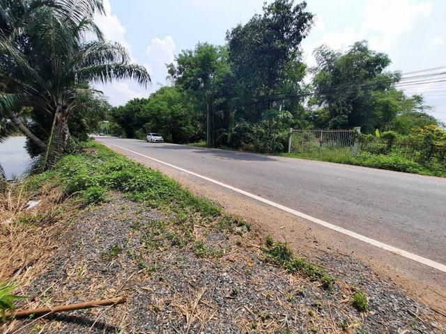 ที่ดินคลองเจ็ดหนองเสือ 7 ไร่