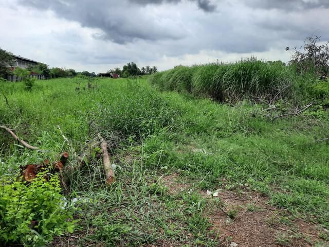 ขายที่ดินคลองเจ็ด คลองหลวง ติดถนนธัญบุรี-วังน้อย