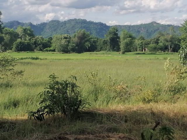 ขายที่ดินพรหมณีถมแล้ว วิวเขา 300 ตรว. ใกล้แยกช้างและถ.สุวรรณศร 33 - 3.1 กม. อ.เมือง จ.นครนายก