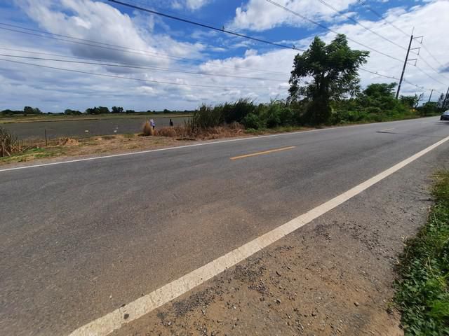 ขายที่ดิน ในคลอง14 ลำลูกกา อ.องครักษ์ จ.นครนายก