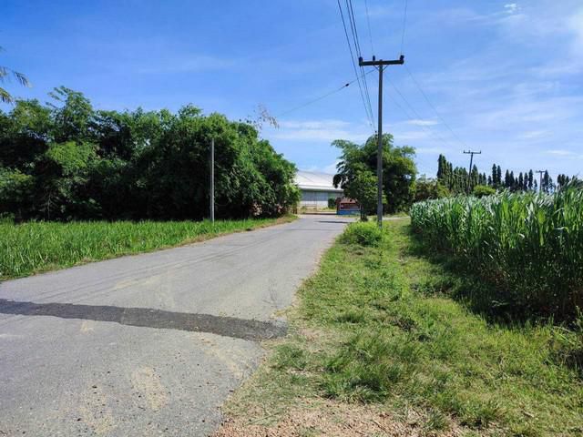 ขายที่ดินหนองลาน กาญจนบุรี ใกล้วนอุทยานพระแทนดงรัง