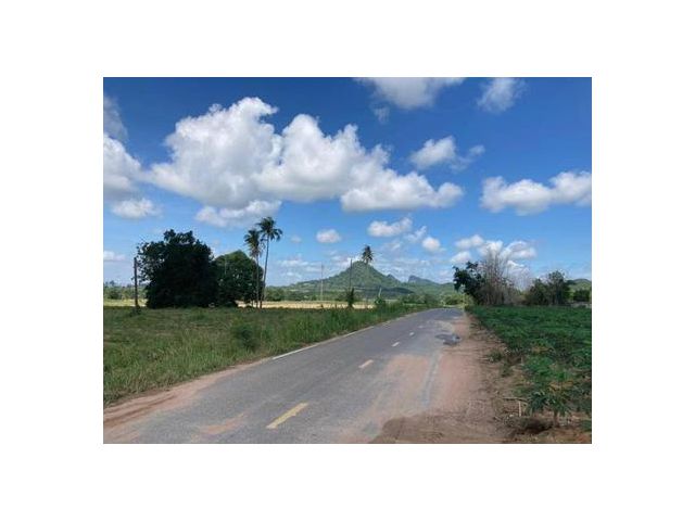 ขายที่ดิน ต.บางเสร่ จ.พัทยา  194 ไร่  970 ล้านบาท
